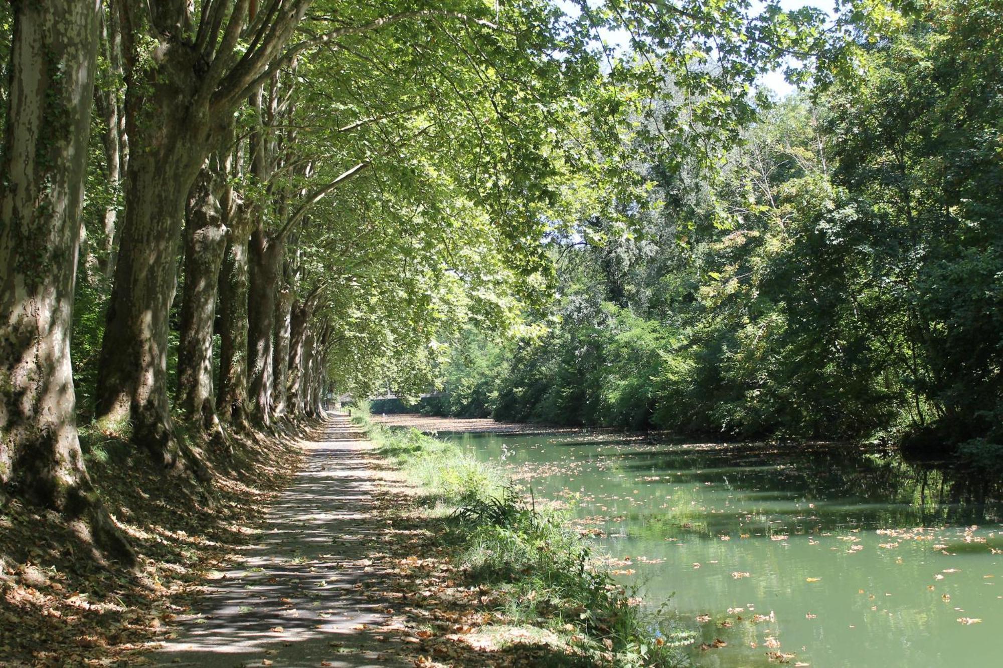 Atena Bordeaux Sud Est Creon - Velo Friendly Luaran gambar